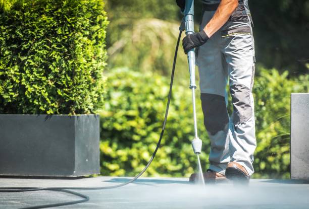 Best Animal Enclosure Cleaning  in Newton, AL