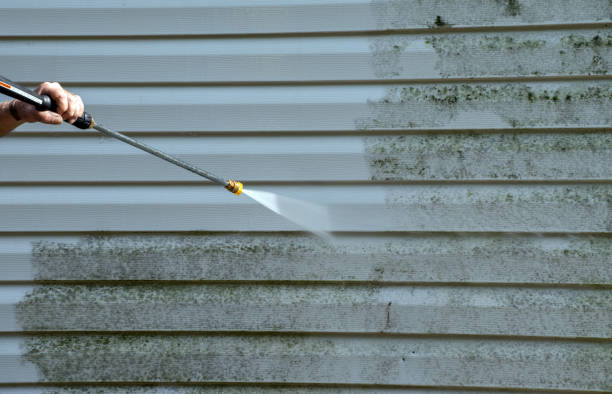 Best Fence Cleaning  in Newton, AL